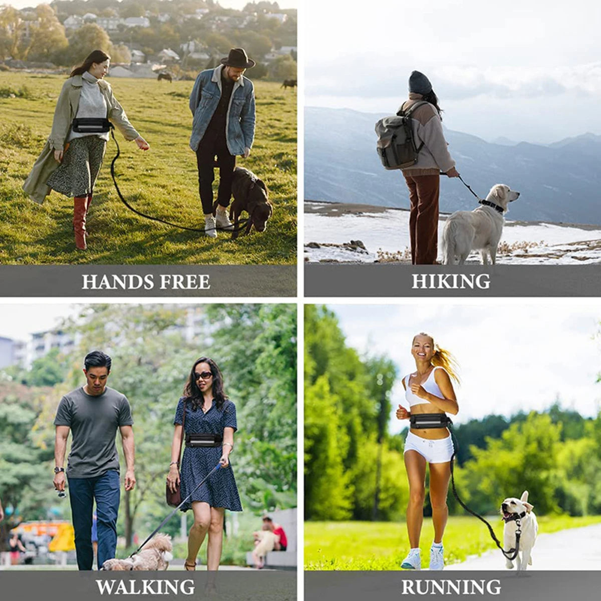 Convenient Hands- Free Dog Leash